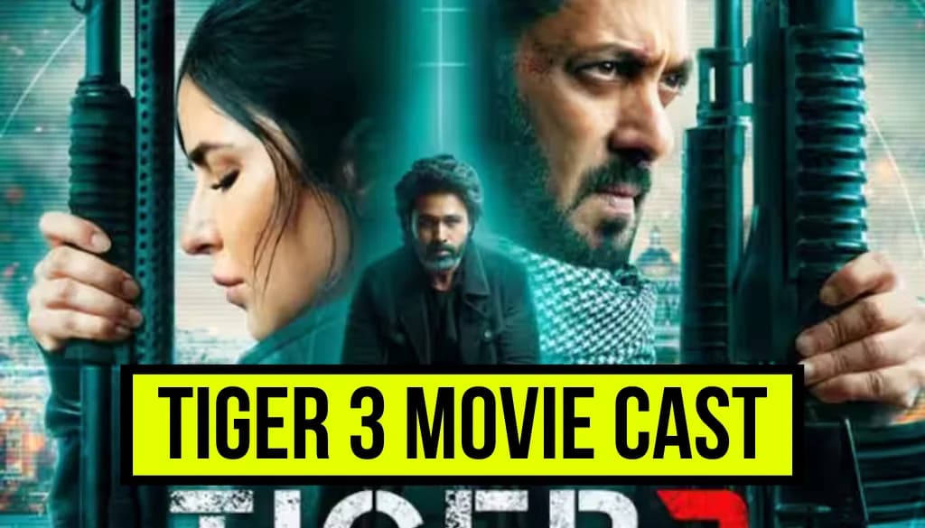 Tiger 3 OTT Release Date