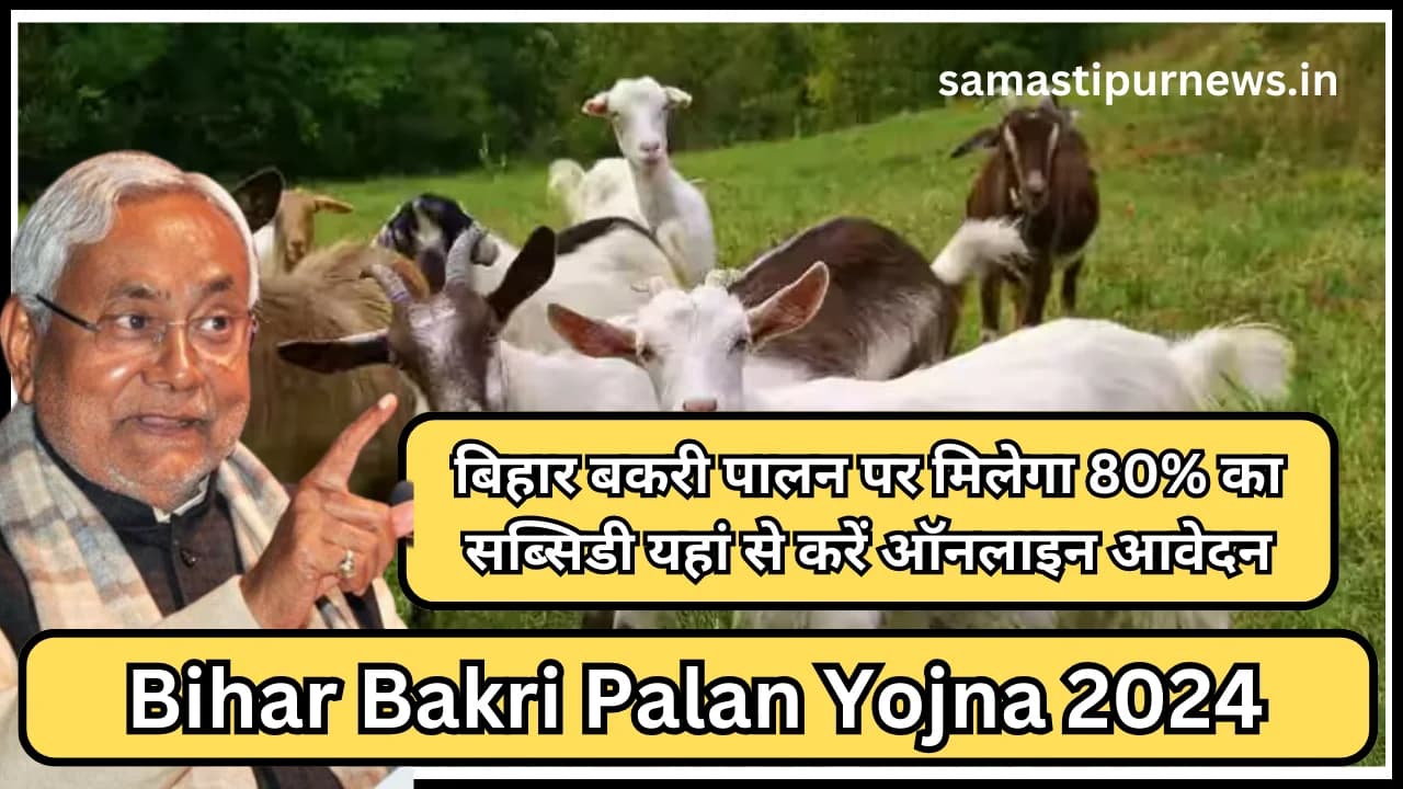 Bihar Bakri Palan Yojna 2024:बिहार बकरी पालन पर मिलेगा 80% का सब्सिडी यहां से करें ऑनलाइन आवेदन