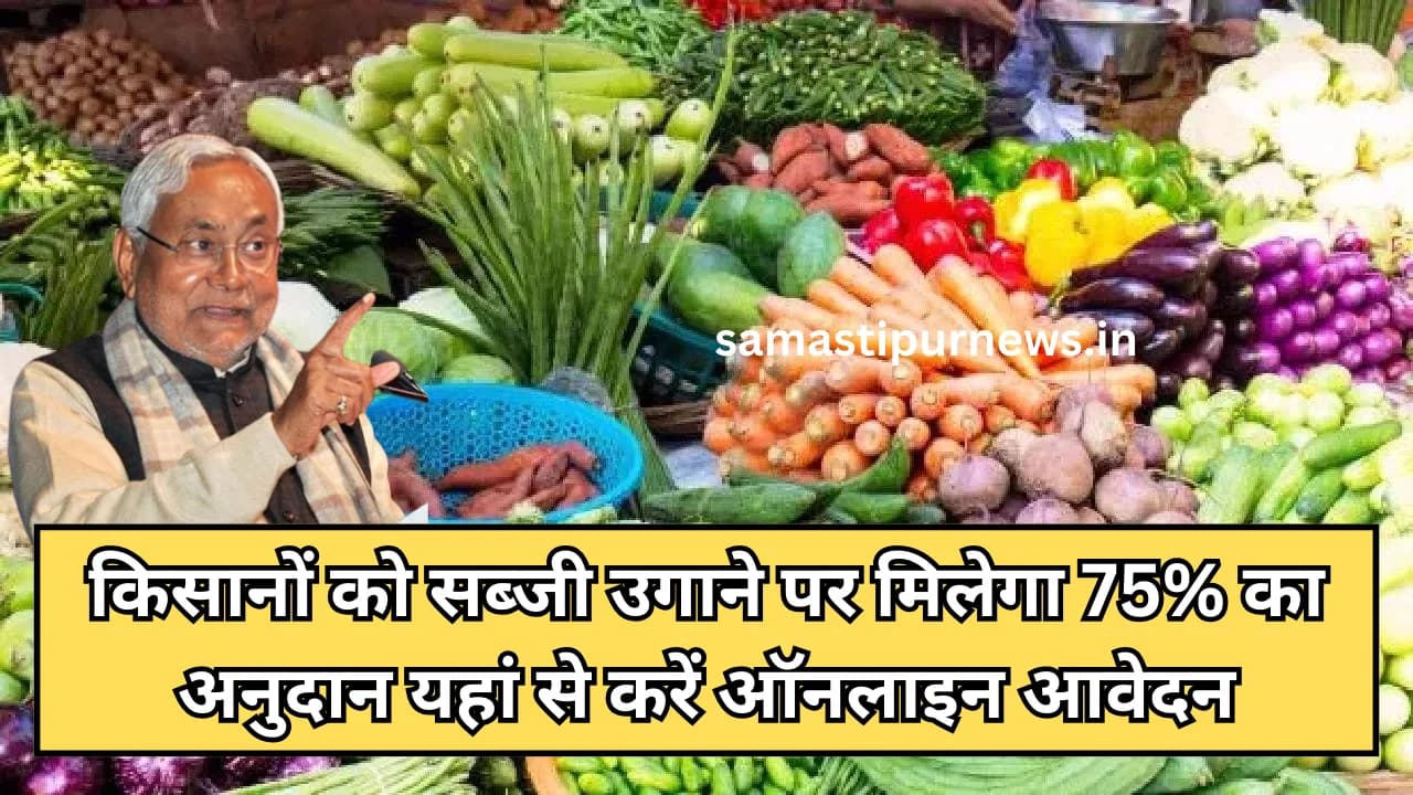 Bihar Sabji Vikas Yojna 2024:किसानों को सब्जी उगाने पर मिलेगा 75% का अनुदान यहां से करें ऑनलाइन आवेदन