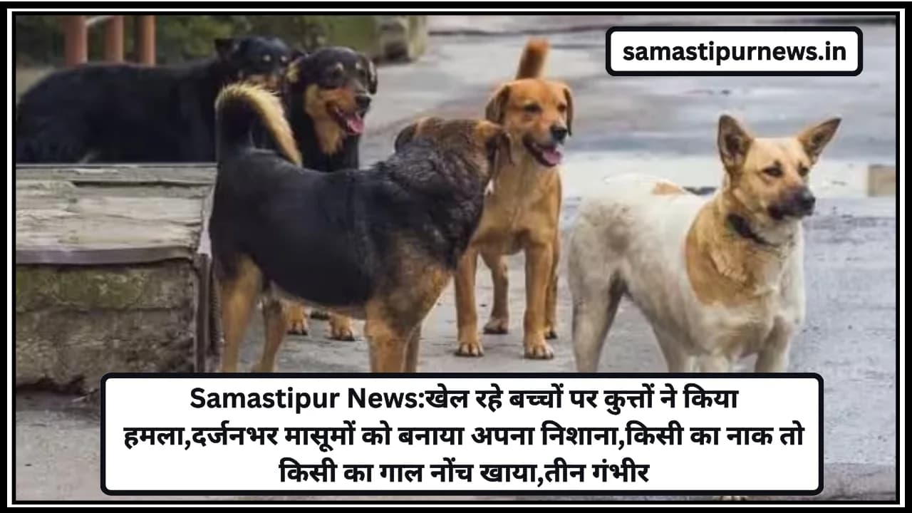 Samastipur News:खेल रहे बच्चों पर कुत्तों ने किया हमला,दर्जनभर मासूमों को बनाया अपना निशाना,किसी का नाक तो किसी का गाल नोंच खाया,तीन गंभीर