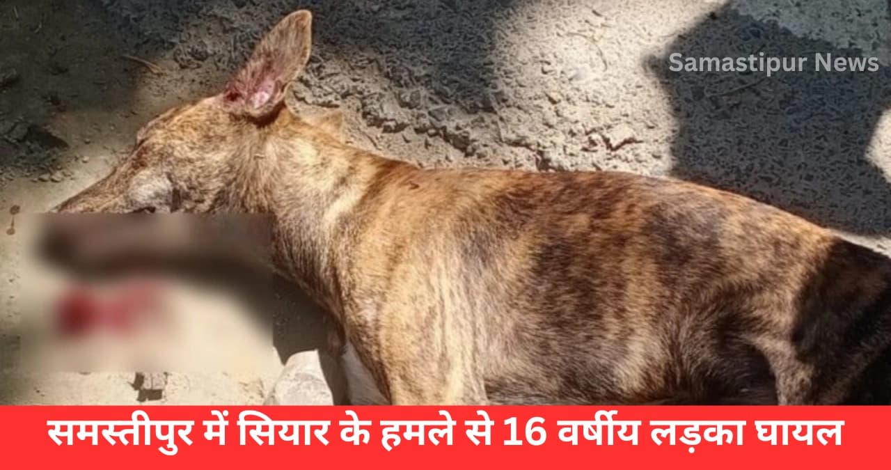 6 साल के लड़के पर सियार का खौफनाक हमला, फिर ग्रामीणों ने किया हैरान कर देने वाला काम