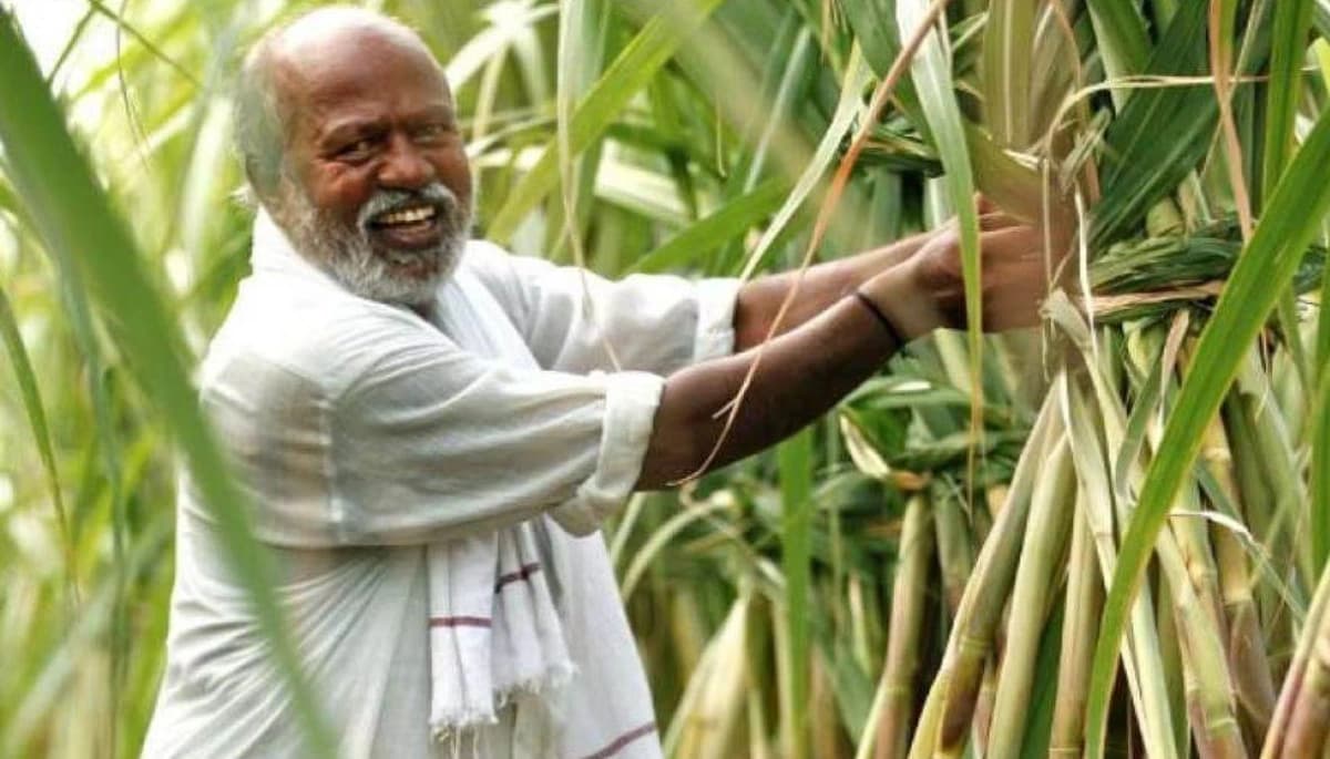 बिहार में गन्ना किसानों की आमदनी बढ़ाने के लिए नई योजना, 1 अक्टूबर से लागू होगी
