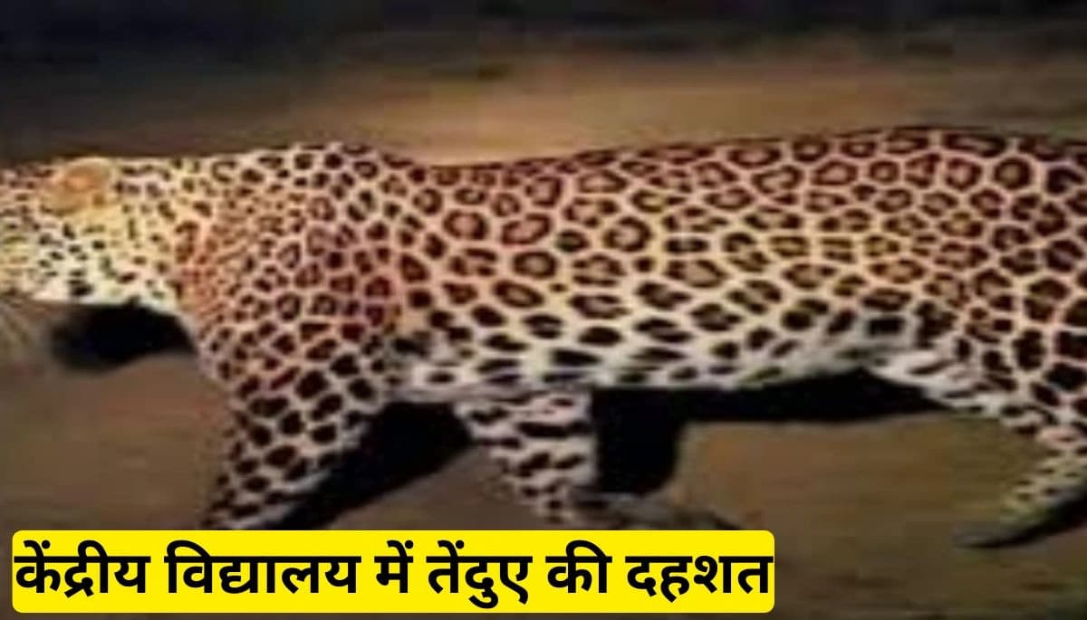 बिहार समाचार: पटना के एयरफोर्स केंद्र के केंद्रीय विद्यालय में तेंदुए की दहशत, अगले आदेश तक स्कूल बंद