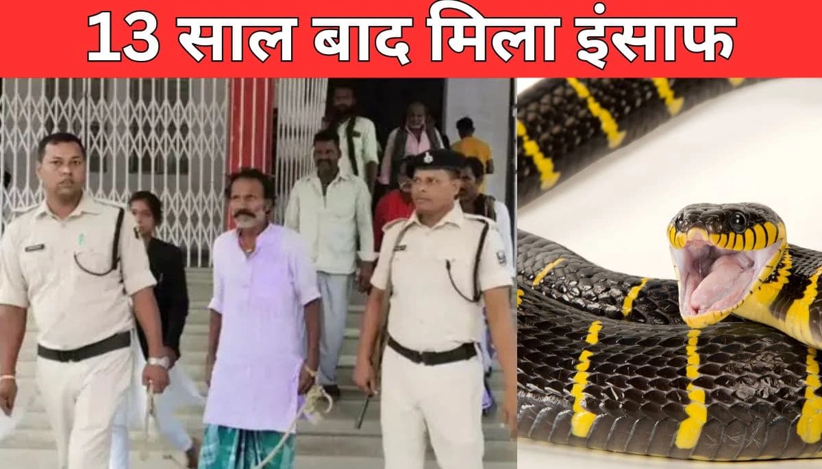 13 साल बाद ‘नाग’ कांड का इंसाफ: सपेरे को 10 साल की सजा, ‘चमत्कारी’ ताबीज भी नहीं बचा सका