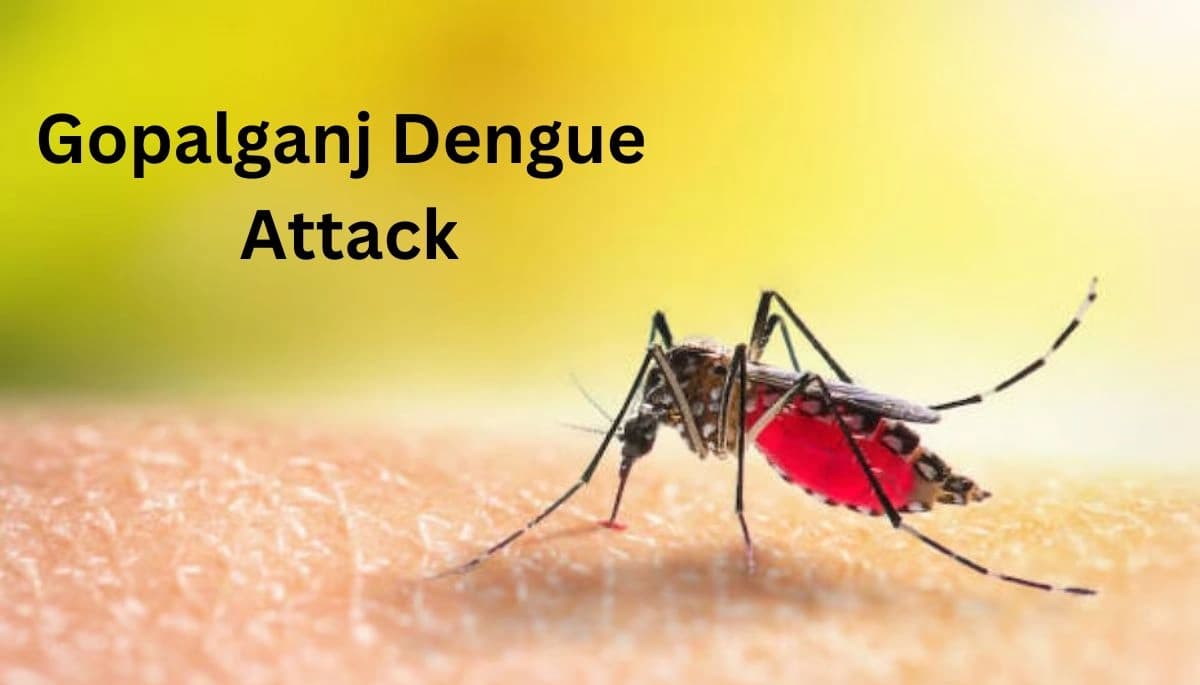 Gopalganj Dengue Attack:गोपालगंज में डेंगू के तीन और संदिग्ध मरीज मिले, कुल संख्या पहुंची 13