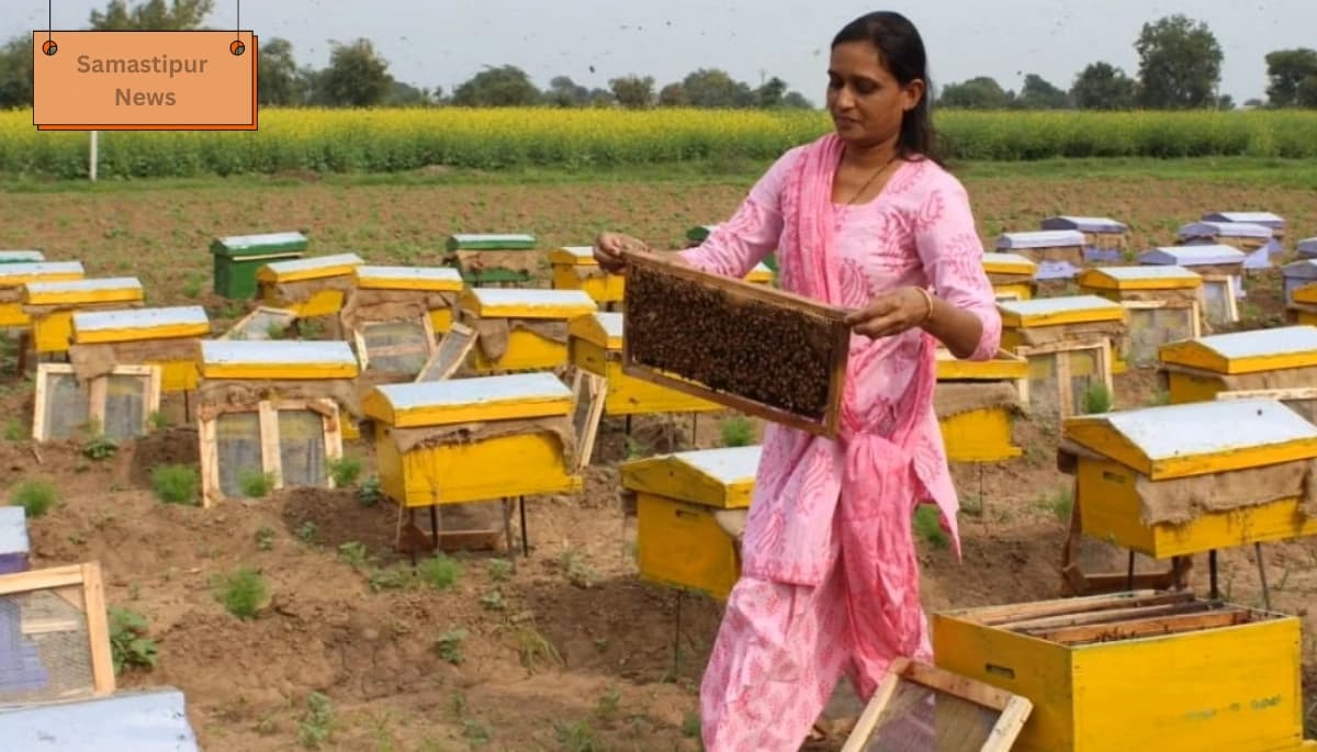 बेगूसराय जिला: मधुमक्खी पालन से राजेश ने रची सफलता की नई कहानी, शहद से कमा रहे लाखों!