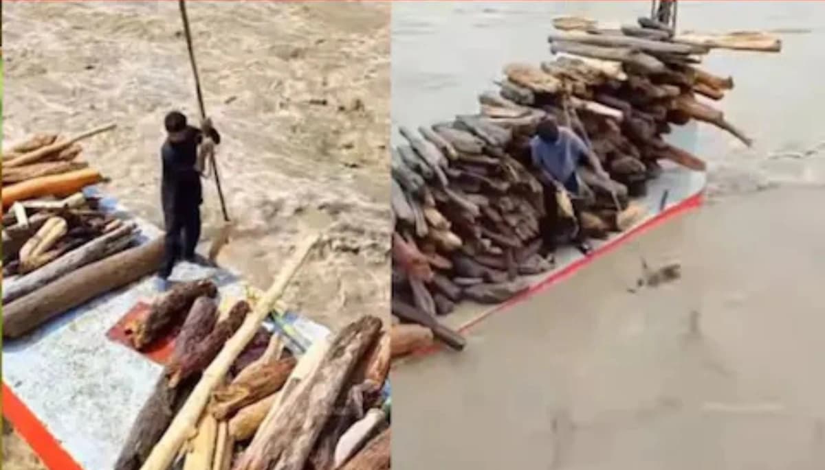 बिहार की बाढ़ से बन रहे हैं लखपति: जानें कैसे चंदन की लकड़ी कर रही है कमाल