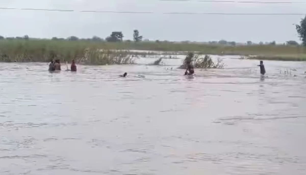 सुपौल में कोसी नदी में नाव पलटी, क्षमता से अधिक सवार थे, 20 लोगों का सफल रेस्क्यू