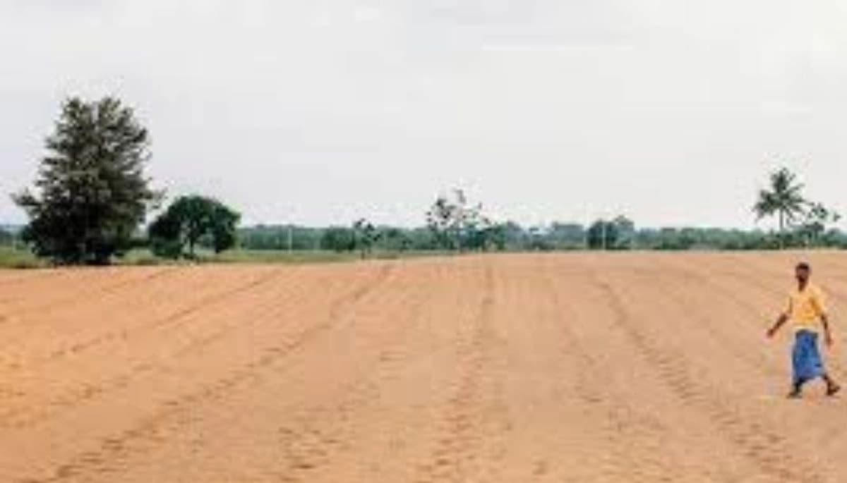 गया में भूमि अधिग्रहण में देरी पर डीएम का सख्त निर्देशडीएम ने घर-घर जाकर एलपीसी बनाने में मदद करने का दिया आदेश