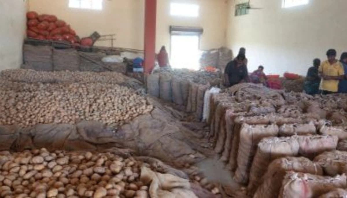 Gaya: गोदाम से 300 बोरी लहसुन और आटा लूट, लुटेरों ने बंधक बनाकर की बड़ी चोरी