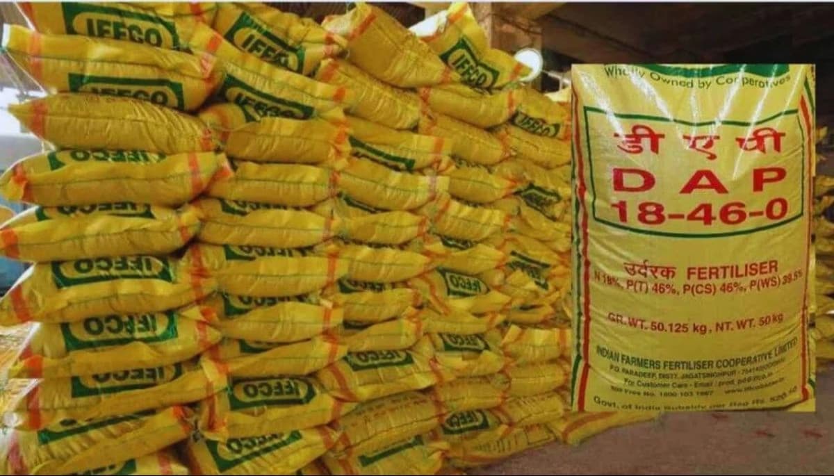 कटिहार: खाद की कालाबाजारी से परेशान किसानों का प्रदर्शन, सरकारी दामों की मांग तेज