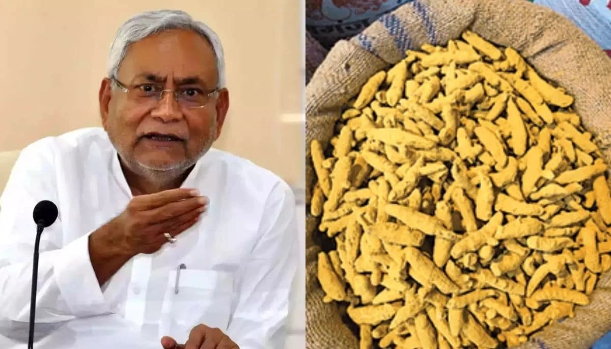 Bihar News: लेड क्रोमेट से रंगी हल्दी पर लगेगा प्रतिबंध, नीतीश सरकार सख्त