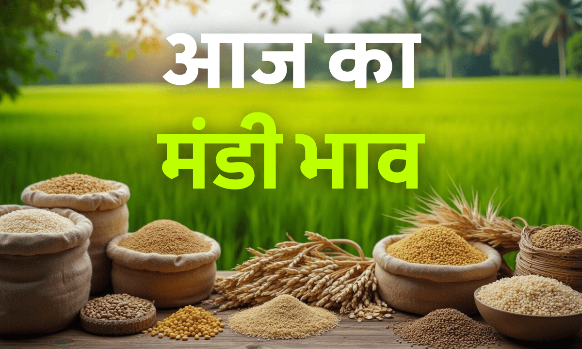 Aaj ka Mandi ka Bhav 19 September 2025: आज की ताज़ा मंडी कीमतें और किसानों की उम्मीदें