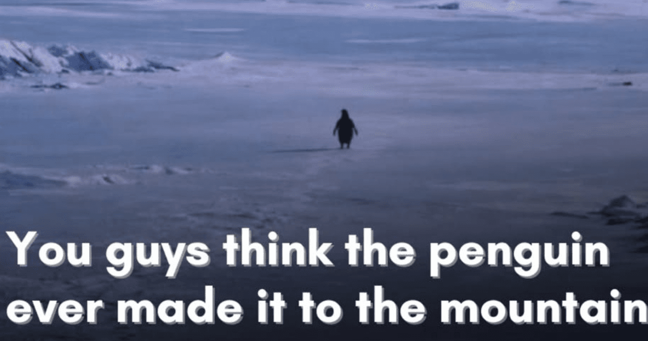 Nilhist Penguin Meme: पहाड़ों की तरफ अकेला क्यों चला ये पेंगुइन? Viral Video के पीछे की Science