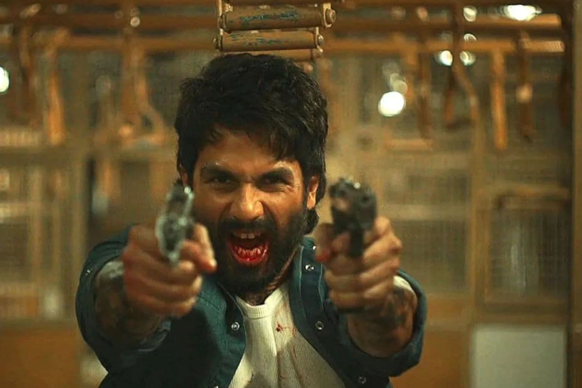 O Romeo Box Office Collection: 16वें दिन हिट हुई या पिट गई ‘ओ रोमियो’? कलेक्शन देख चौंक जाएंगे