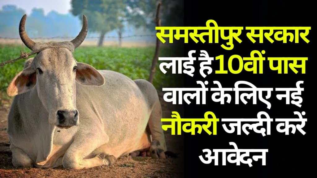 Samastipur Bihar Sarkari Yojana