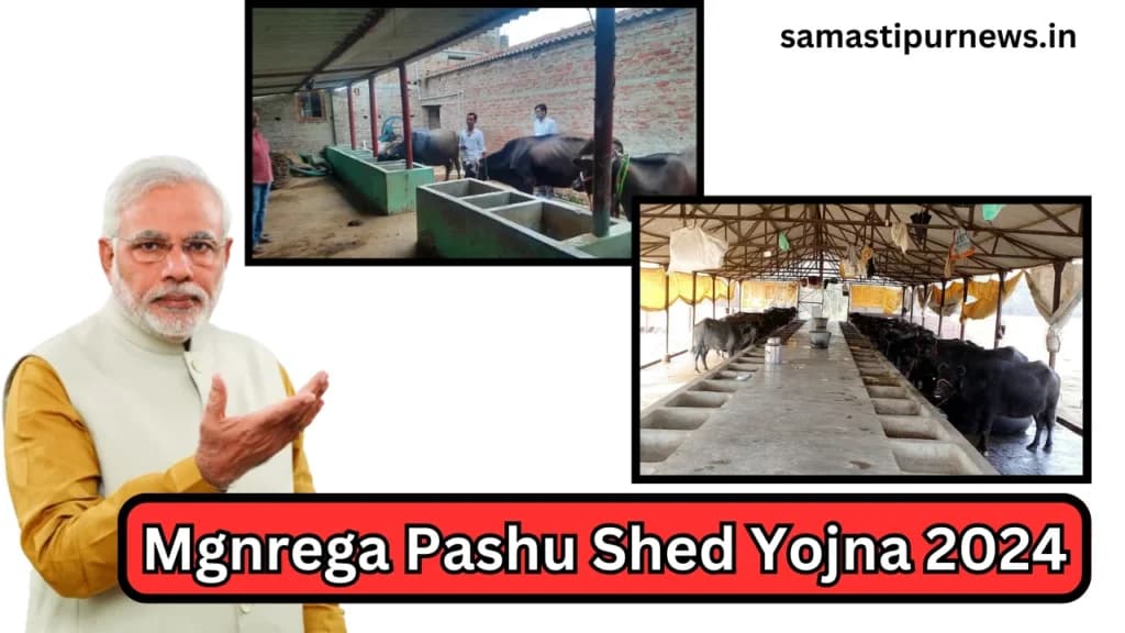 Mgnrega Pashu Shed Yojna 2024