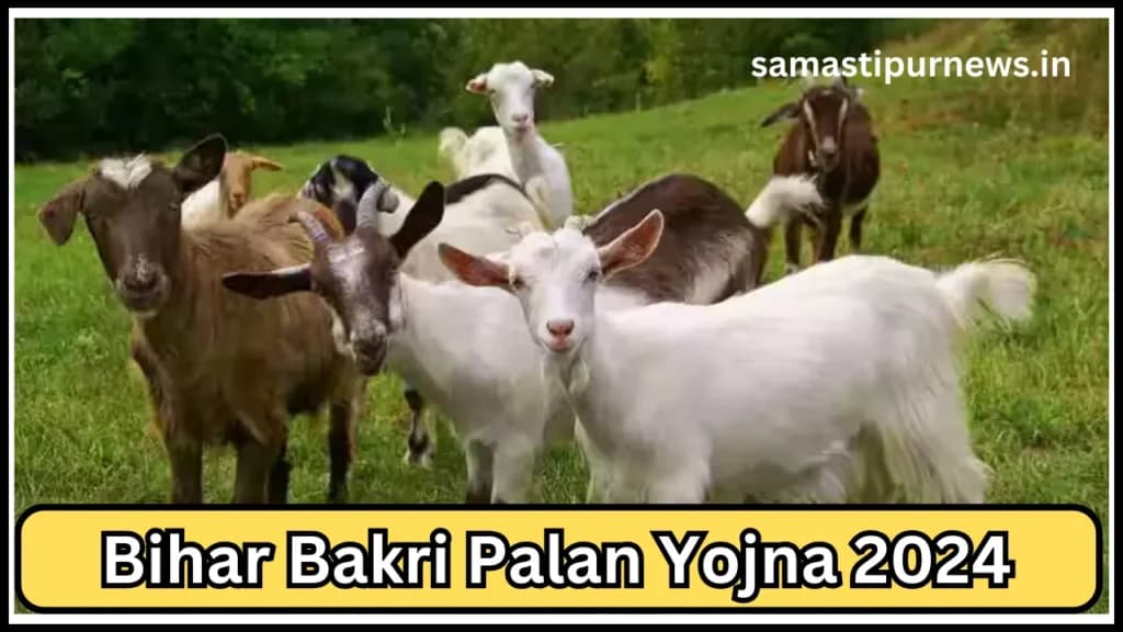 Bihar Bakri Palan Yojna 2024