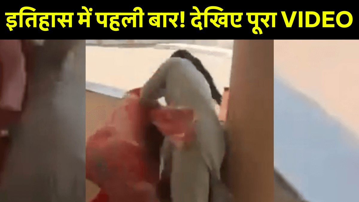 Viral Video: मध्य प्रदेश के स्कूल में प्रिंसिपल और लाइब्रेरियन के बीच मारपीट का वीडियो वायरल, दोनों बर्खास्त