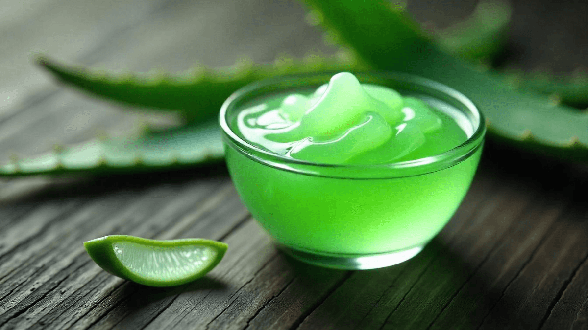 Monsoon Skincare Tips: मानसून में स्किनकेयर के लिए गुलाब जल, एलोवेरा जेल और नीम फेस पैक का इस्तेमाल कर हेल्दी और ग्लोइंग त्वचा पाएं।