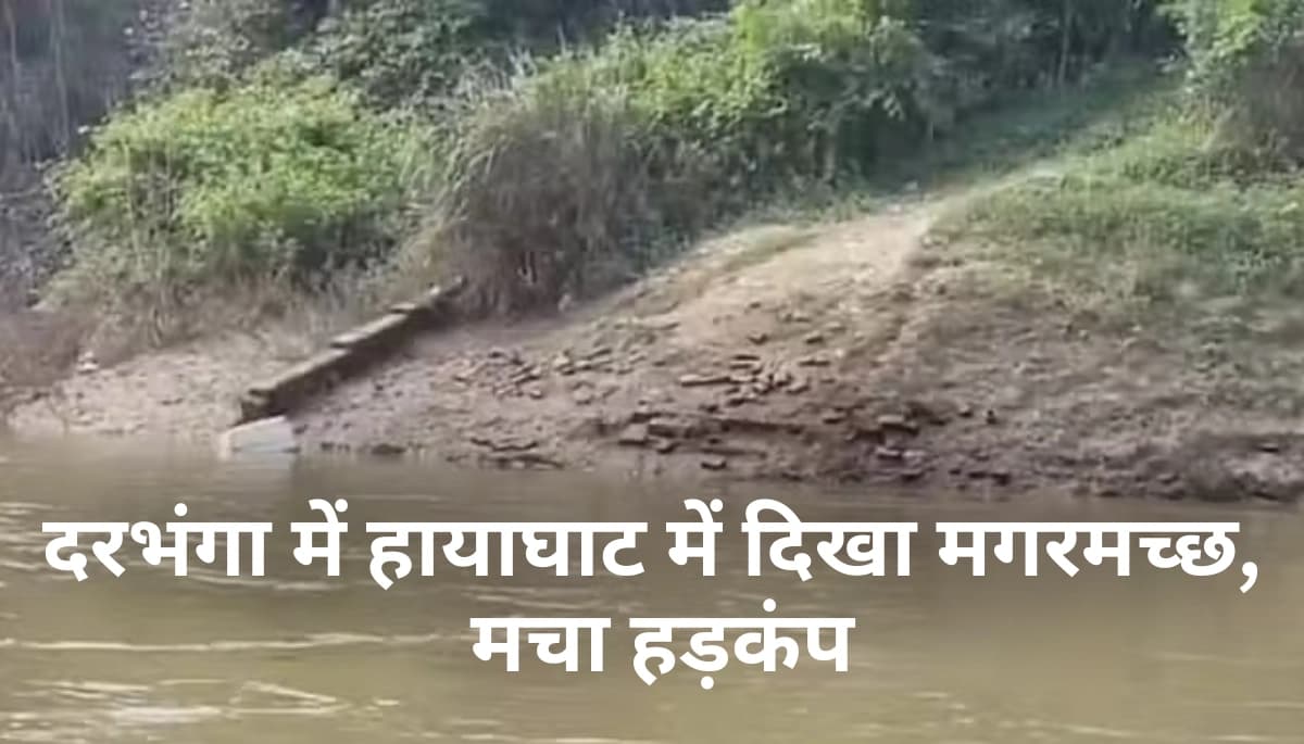 खौफनाक मंजर: दरभंगा में बागमती नदी में दिखा मगरमच्छ, ग्रामीणों में अफरा-तफरी