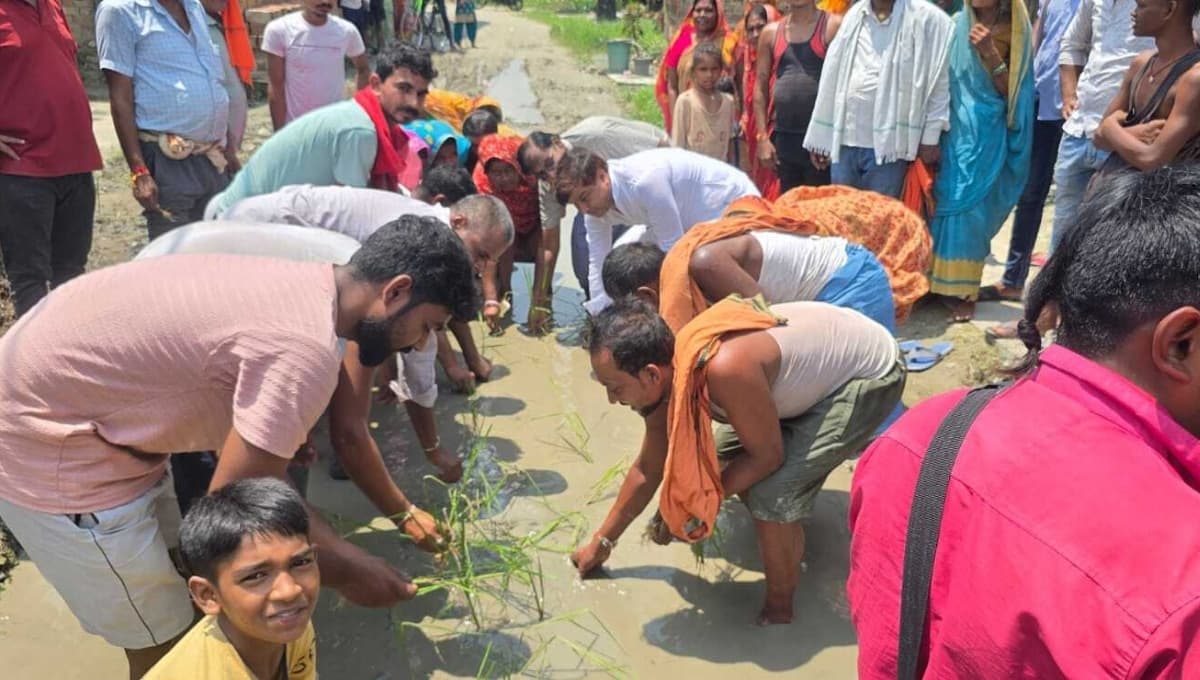 Protest: समस्तीपुर में किसानों ने सड़क पर धान की रोपाई कर जताया विरोध