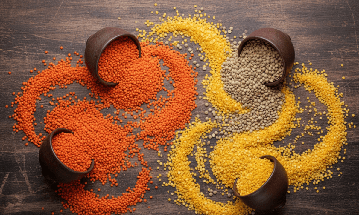 PM Aasha Yojana 2025: दाल बढ़ाएगी किसानों की कमाई, मोदी सरकार का आत्मनिर्भर भारत मिशन