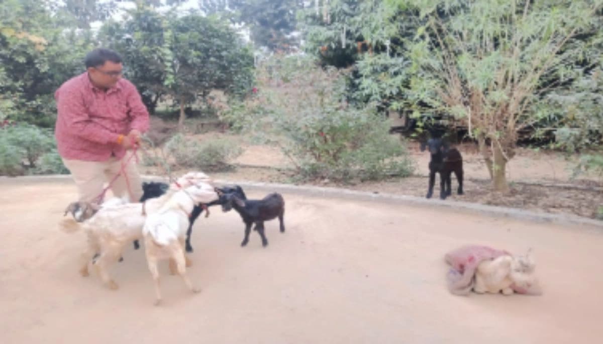 Bihar News: मोतिहारी पुलिस ने पशु-पक्षी तस्करी पर लगाई नकेल, कई तस्कर गिरफ्तार