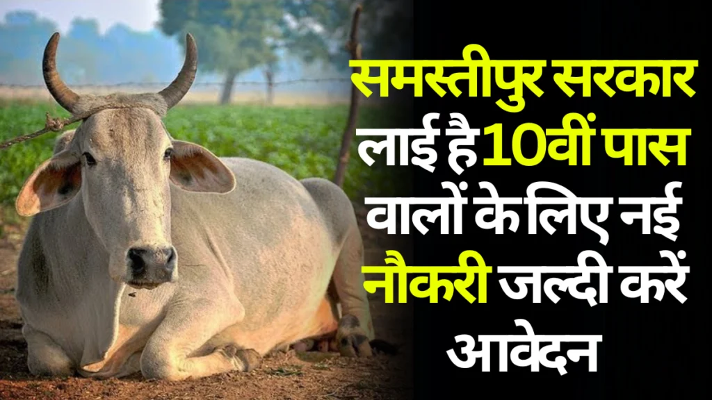 Samastipur Bihar Sarkari Yojana