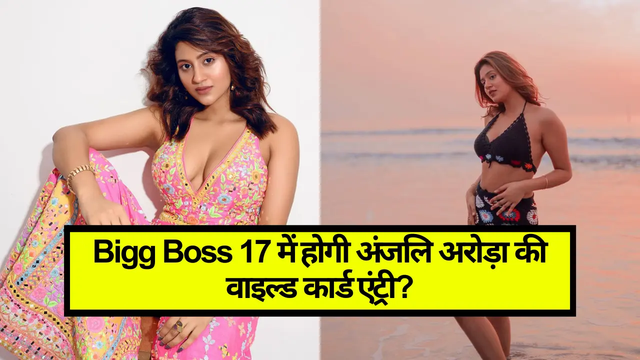 Anjali Arora In Bigg Boss 17