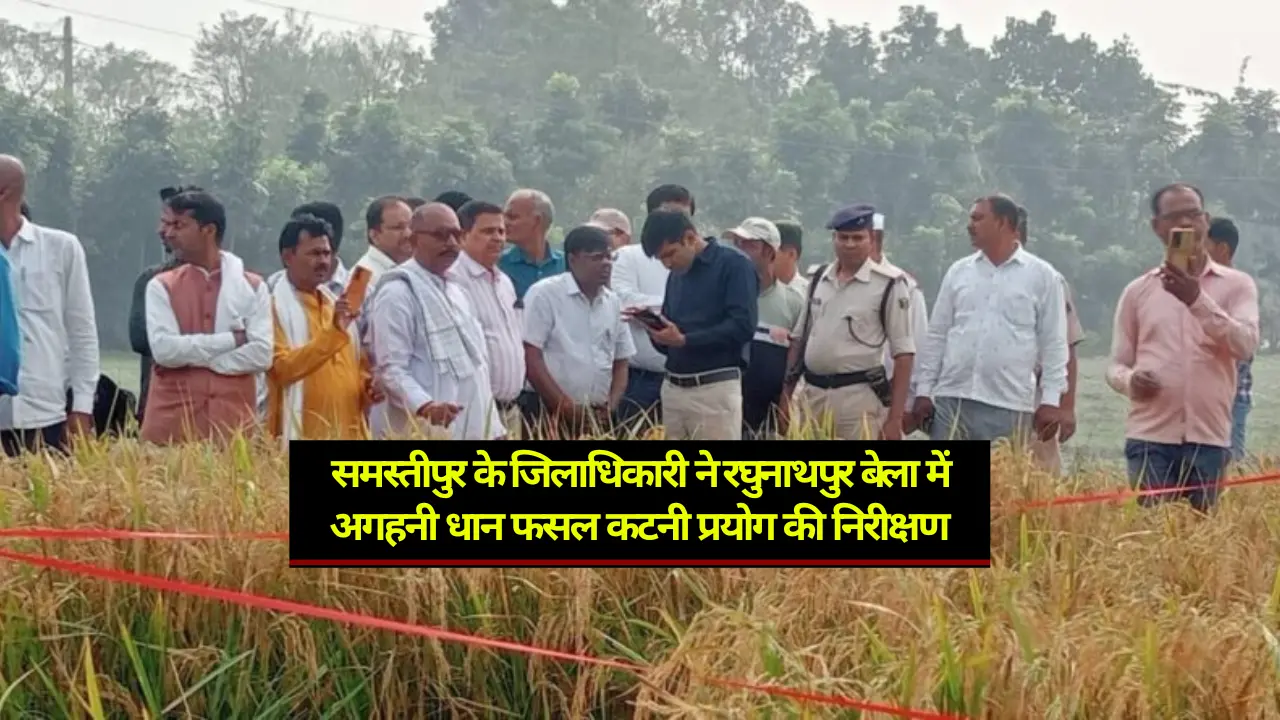 Samastipur News: समस्तीपुर के जिलाधिकारी ने रघुनाथपुर बेला में अगहनी धान फसल कटनी प्रयोग की निरीक्षण