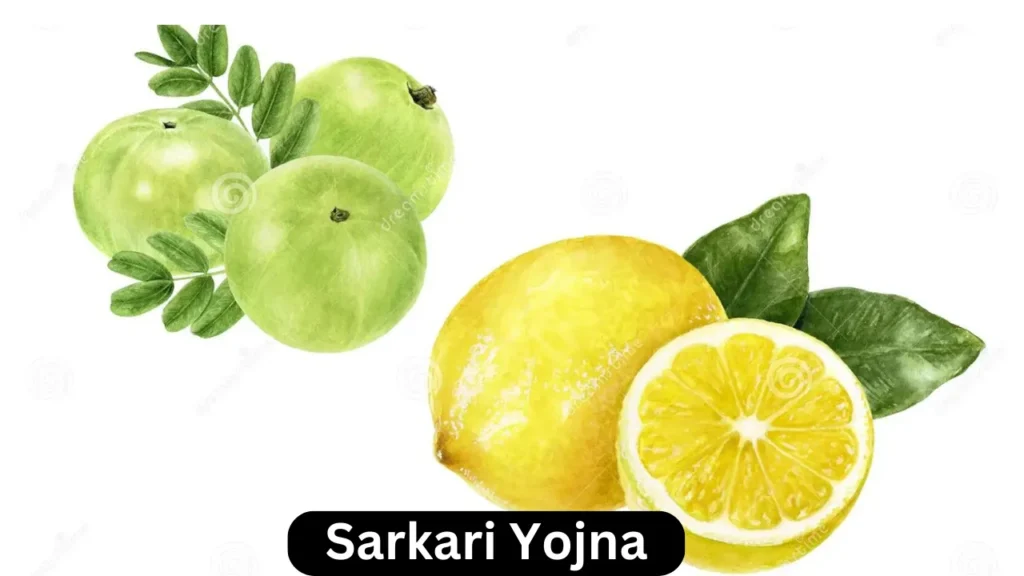 Sarkari Yojna 2023:आंवला,नींबू की खेती पर किसानों को मिल रहे हैं ₹50 हजार रुपए| 2 Sarkari Yojna 23