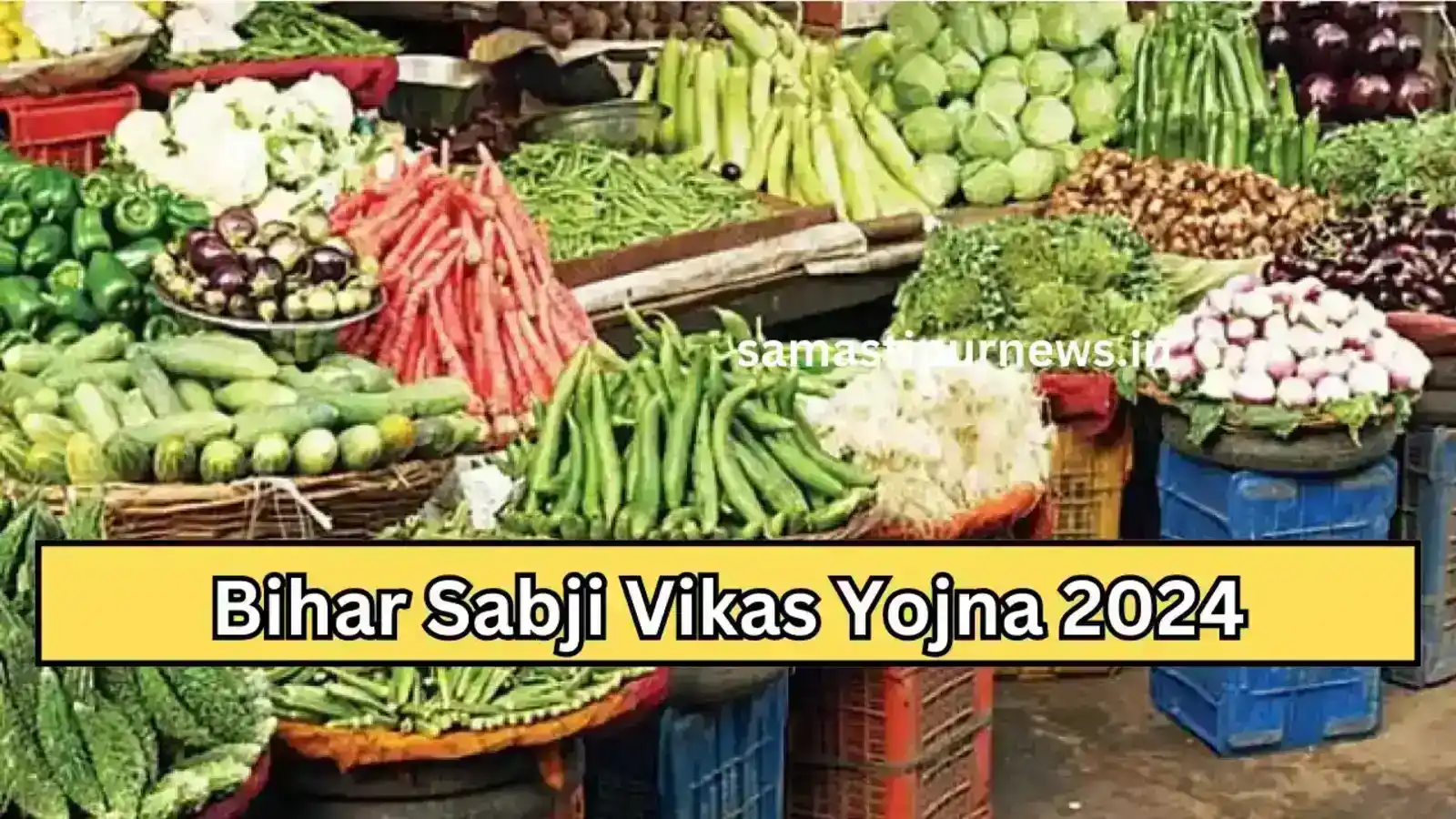 Bihar Sabji Vikas Yojna 2024
