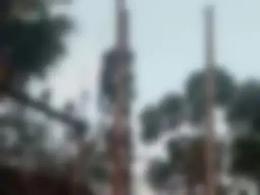 Samastipur News: समस्तीपुर में ट्रांसफार्मर बदलने के दौरान लगा करंट हुआ एक की मौत, 2 लोग गंभीर रूप से झुलस गए 2 समस्तीपुर में ट्रांसफार्मर बदलने के दौरान लगा करंट हुआ एक की मौत, 2 लोग गंभीर रूप से झुलस गए