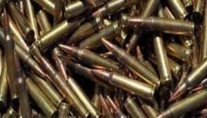 गया में पुलिस की बड़ी सफलता: कुएं से बरामद हुए 1490 जिंदा कारतूस, जांच जारी