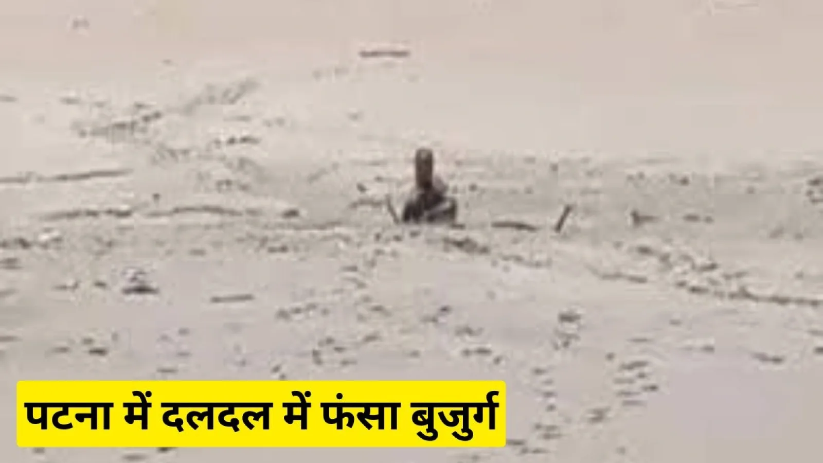 बिहार समाचार: पटना में दलदल में फंसा बुजुर्ग, सिर्फ सिर और हाथ थे बाहर, जानिए कैसे हुई बचाव की कोशिश