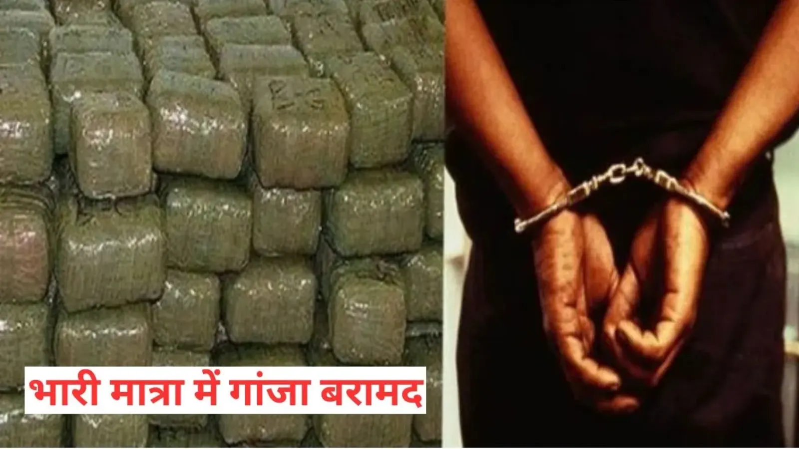 बिहार समाचार: भारत-नेपाल सीमा से भारी मात्रा में गांजा बरामद, कार्रवाई गुप्त सूचना पर की गई