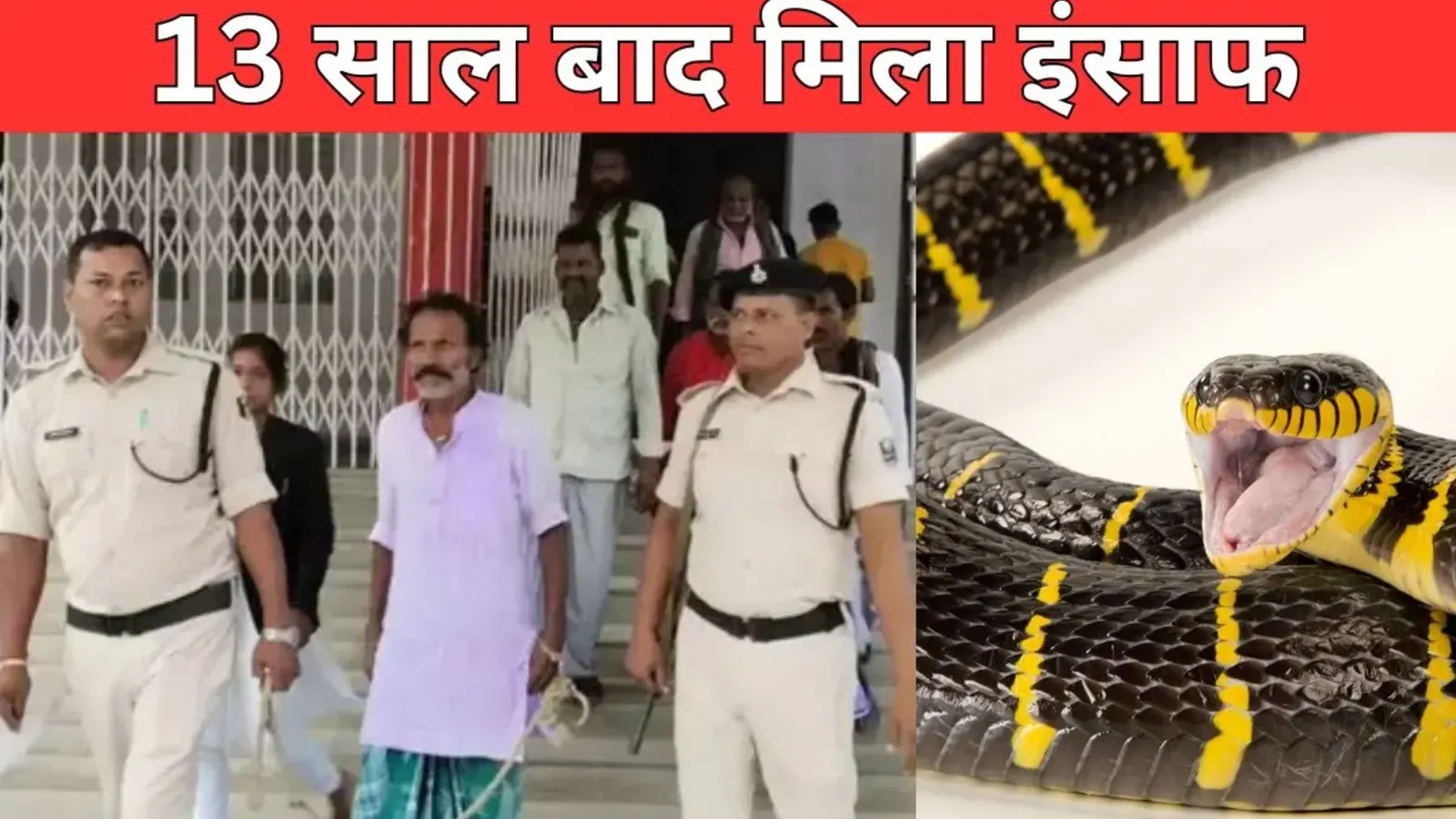 13 साल बाद ‘नाग’ कांड का इंसाफ: सपेरे को 10 साल की सजा, ‘चमत्कारी’ ताबीज भी नहीं बचा सका