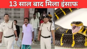 Bseb Deled: डीएलएड में दाखिले का एक और मौका, बिहार बोर्ड ने शुरू की स्पॉट नामांकन प्रक्रिया 3 13 साल बाद 'नाग' कांड का इंसाफ: सपेरे को 10 साल की सजा, 'चमत्कारी' ताबीज भी नहीं बचा सका