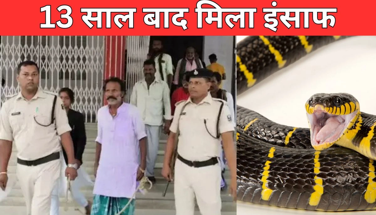 13 साल बाद 'नाग' कांड का इंसाफ: सपेरे को 10 साल की सजा, 'चमत्कारी' ताबीज भी नहीं बचा सका