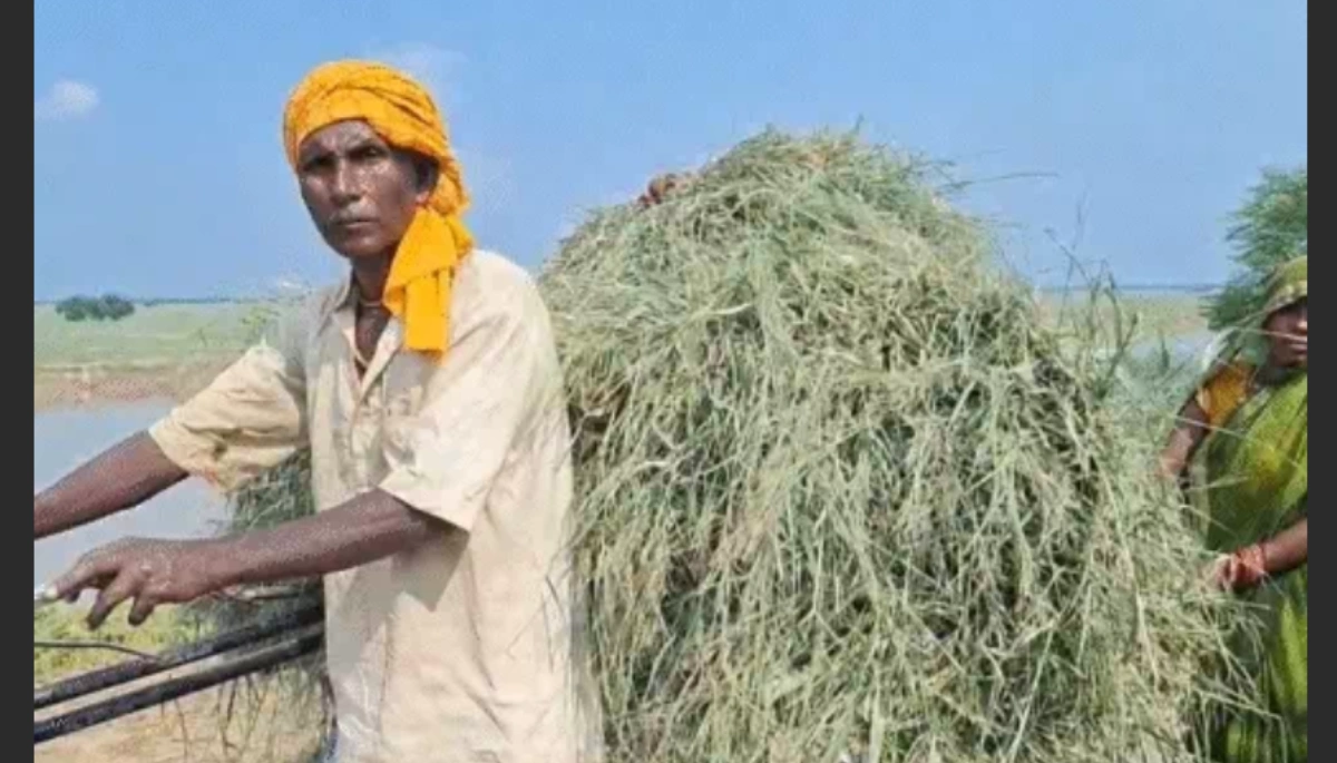 बाढ़ ने मुजफ्फरपुर के पशुपालकों को किया बेबस: जानिए उनकी दर्द भरी कहानी