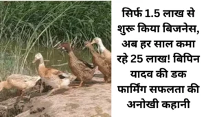शराब तस्करी के नेटवर्क का खुलासा: मुजफ्फरपुर में महिला गिरफ्तार, जानिए उसकी शातिर कहानी 4 सिर्फ 1.5 लाख से शुरू किया बिजनेस, अब हर साल कमा रहे 25 लाख! बिपिन यादव की डक फार्मिंग सफलता की अनोखी कहानी