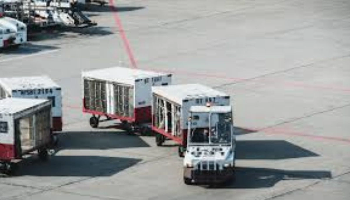 पटना में हाइवा ने दो बच्चों को मारी टक्कर, गुस्साए लोगों ने किया हंगामा, पुलिस से झड़प 1 पटना में हाइवा ने दो बच्चों को मारी टक्कर, गुस्साए लोगों ने किया हंगामा, पुलिस से झड़प