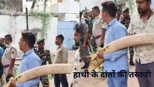 Bihar Teacher: यूपी में बैठ कर शिक्षक बना रहे बिहार में फर्जी हाजिरी, शिक्षा विभाग ने दिये जांच के आदेश 4 आरा में हाथी के दांतों की तस्करी