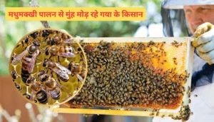 सिंध असेंबली में 'बिहारी' शब्द पर बवाल, विधायक ने दी तीखी प्रतिक्रिया 6 गया न्यूज़: मधुमक्खी पालन से मुंह मोड़ रहे गया के किसान, जानें इसकी वजह