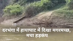 25 साल बाद बड़ा खुलासा: दरभंगा की हिन्दी समाहार मंच ने रजत जयंती में किया चौंकाने वाला आयोजन 3 खौफनाक मंजर: दरभंगा में बागमती नदी में दिखा मगरमच्छ, ग्रामीणों में अफरा-तफरी