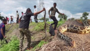 Bihar News: भागलपुर में प्रदर्शन के दौरान पुलिस का लाठीचार्ज, कई कार्यकर्ता घायल और चार गिरफ्तार 3 Bihar News