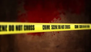 बिहार मौसम: ठंड की दस्तक, घना कोहरा छाने लगा, कड़ाके की ठंड की संभावना 4 Bihar News