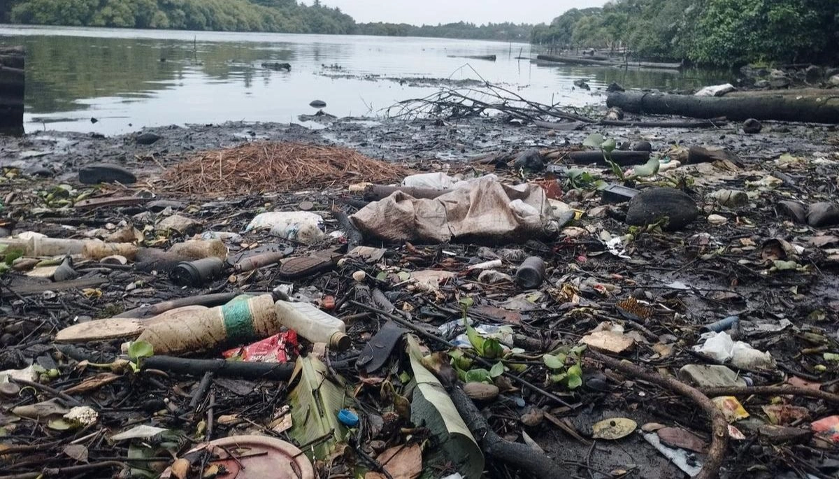 Bihar News: खतरे में अदरी नदी का अस्तित्व, प्रदूषण के कारण सूखने की कगार पर पहुंची नदी 1 Bihar News