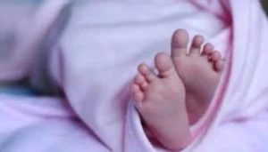 Bihar News: वैशाली में चलती कार बनी आग का गोला, तीन युवकों ने कूदकर बचाई जान 5 Bihar News